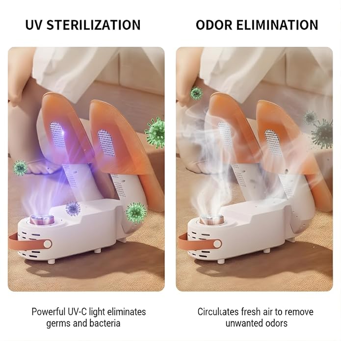 Electric Shoe Dryer